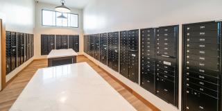 Elevate at 620 Gallery 21