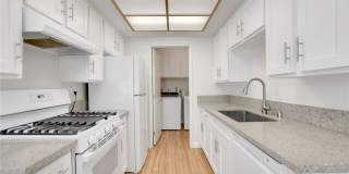 1460 Forest Glen 1460 Forest Glen Gallery 11