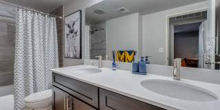 Spice Tree Gallery 8