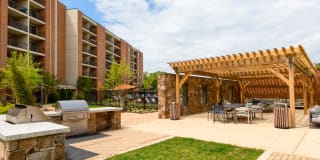 Falls Green Gallery 23