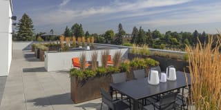 Northpointe Gallery 16
