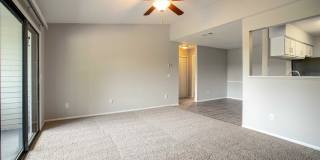 Evergreen Club Gallery 16