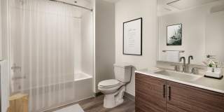 Ovelo Hollywood Gallery 10