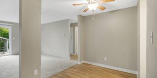 ReNew Dash Point Gallery 28