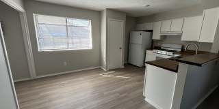 815 Bracewood Circle - D Gallery 1