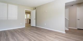 Rosen at North Hills Gallery 18