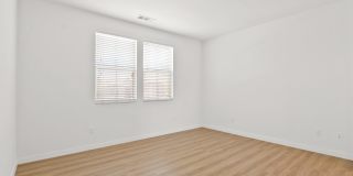 111 Wild Rose Gallery 13