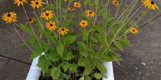 316 3rd St Ne Gallery 20