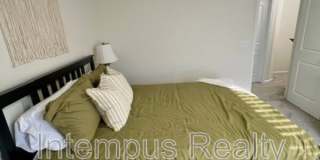 260 Winter Shadow Loop Gallery 46
