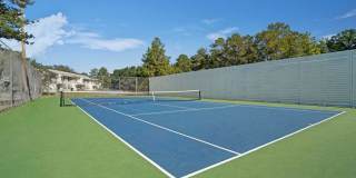 Estates at Palm Bay Gallery 14