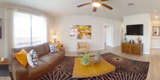 San Remo Gallery 31