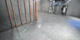 14 Parsley - 1 Gallery 19