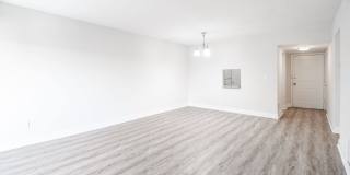 Legacy at Pinecrest Gallery 27