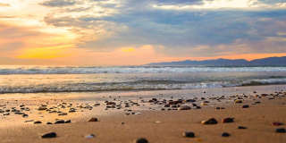 416 Virginia St 416 Virginia St Gallery 50