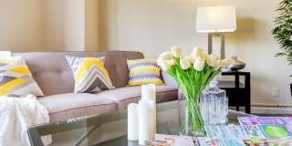 Ashton Heights Gallery 5