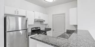 Aventura RTP Gallery 6