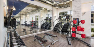 Maitland City Centre Gallery 16