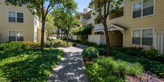 The Presidio Apartments Gallery 26