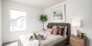 Fossil Cove Gallery 12