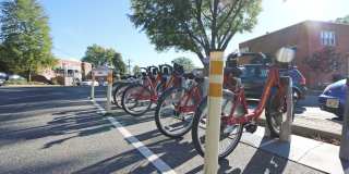 The Taylor Gallery 49