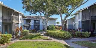 The Palms at Countryside Apartments Gallery 23