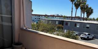 3254 Ashford St Gallery 15