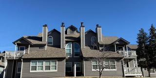 Two bedrooms near Chatfield Reservoir! Gallery 1