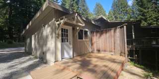 Beautiful, Serene Studio Nestled Among the Redwoods. Gallery 1