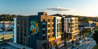 Ballard Yards Gallery 50