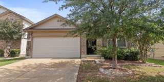 15537 Gray Catbird Gallery 1