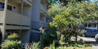 Rochelle Apartments Gallery 15