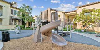 Hollister Village Gallery 40