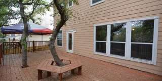 956 PERSIAN GDN Gallery 15