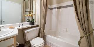 The Falls and Woods of Hoover Gallery 61