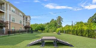 Hawthorne at Holly Springs Gallery 22