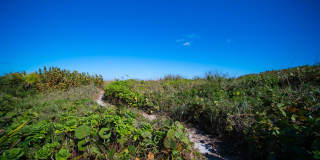 4000 S Ocean Boulevard Gallery 7