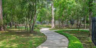 Forest View Gallery 13