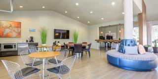 Talise Apartments Gallery 13