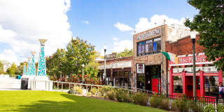 Canopy Gallery 20
