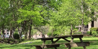 Gazebo Apartments Gallery 63