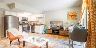 Scottsdale 59 Gallery 5