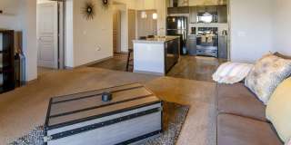 Anatole on Briarwood Gallery 34