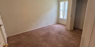 First 2 weeks free offer Gallery 20