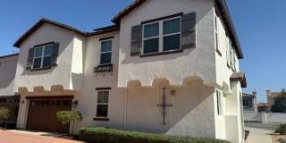 4158 Mission Tree 4158 Mission Tree Gallery 1