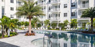 Illumina at Gulf Coast Town Center Gallery 24