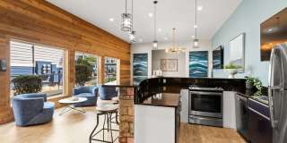 Avana Chestnut Hill Gallery 19