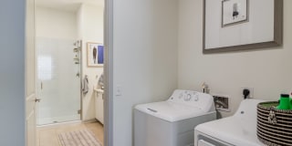 5 Points Northshore Gallery 11