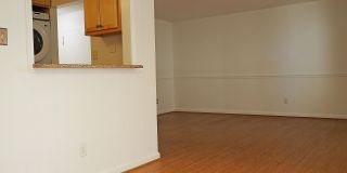 10 MONROE Gallery 4