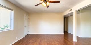 1913 E El Parque Drive Gallery 18