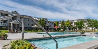 Orchard Cove Gallery 12